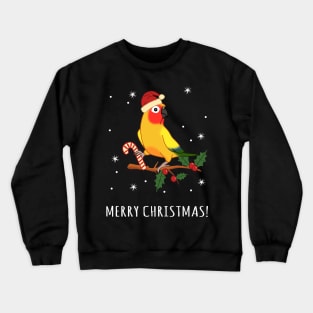 Merry christmas Sun Conure Crewneck Sweatshirt